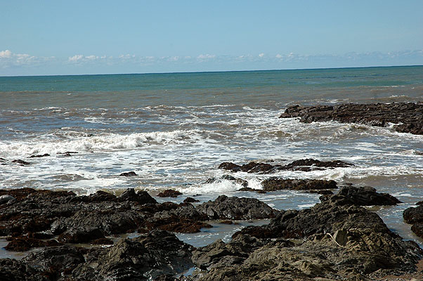 Cambria February 2011 012.JPG